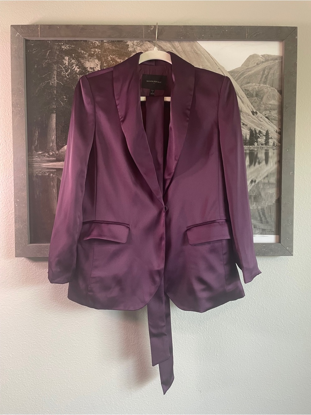 Banana Republic Satin Shawl Collar Blazer in Plum